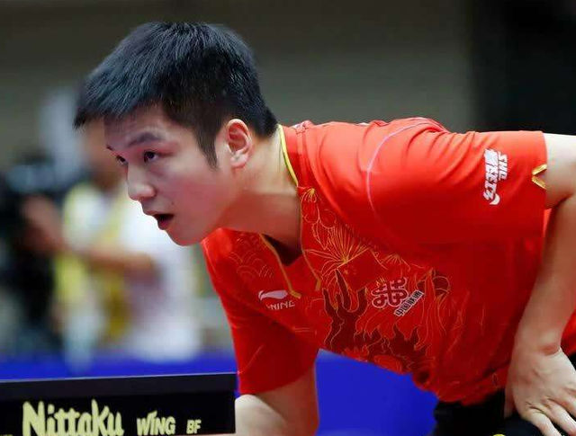 多特主场1 多特主场1